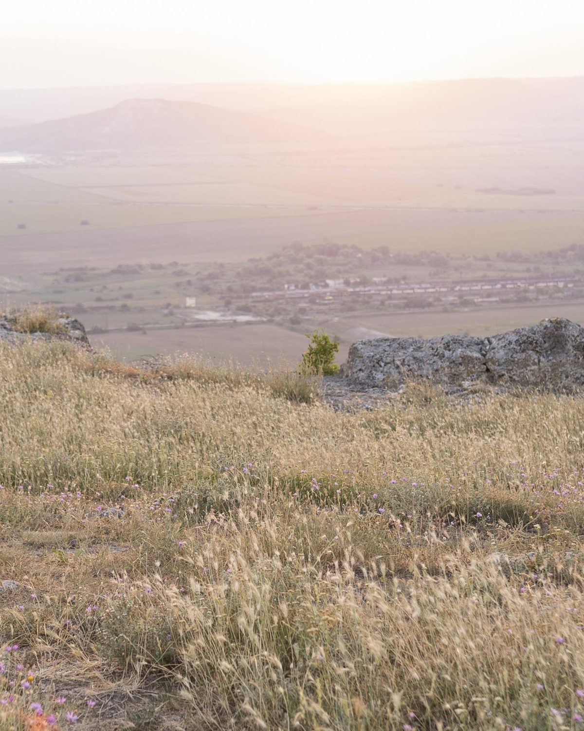Two people walking through an open field toward the light